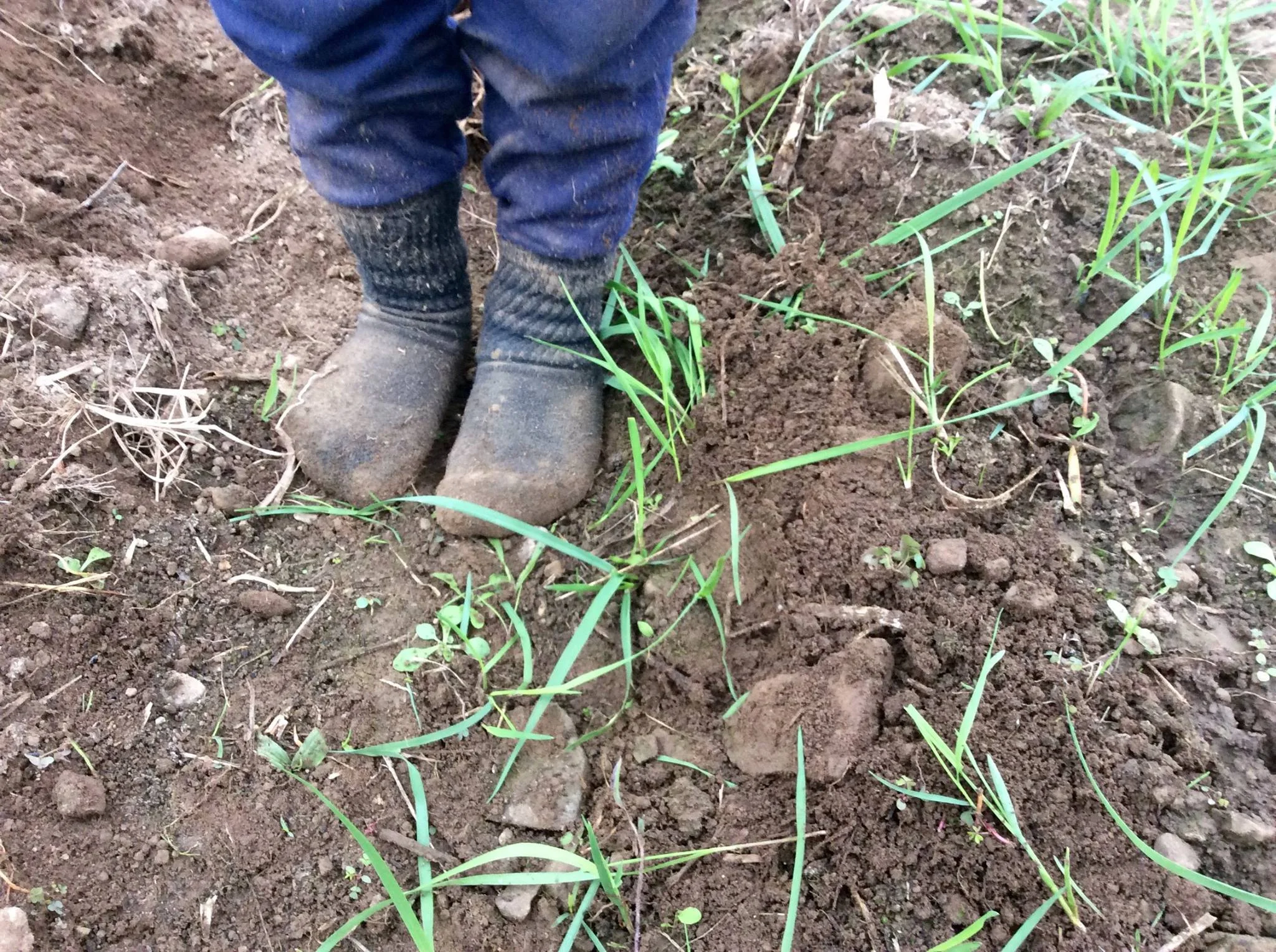 Silas feet.jpg