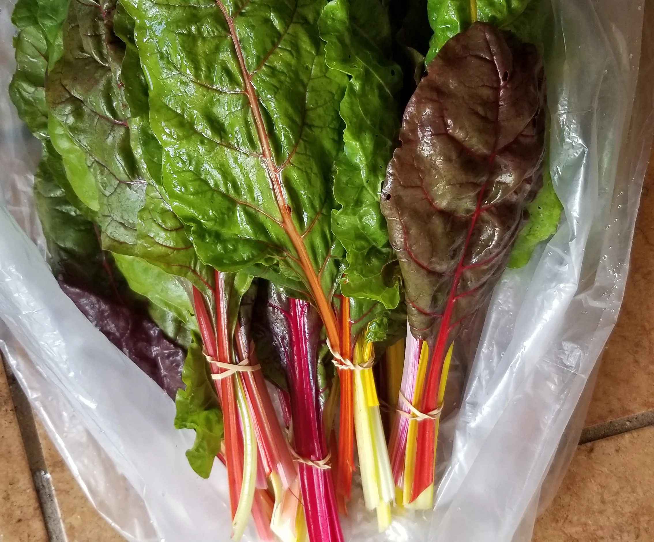 chard.jpg