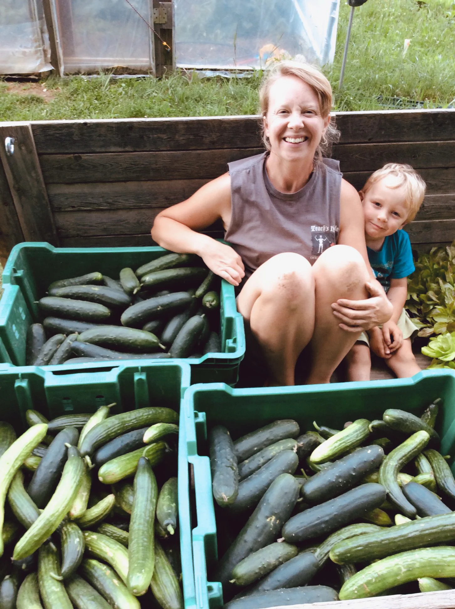 Our screened high tunnel helped keep the cucumber beetles at bay for awhile. We harvested about 400 cucumbers per week for several weeks in the beginning of the farm season.