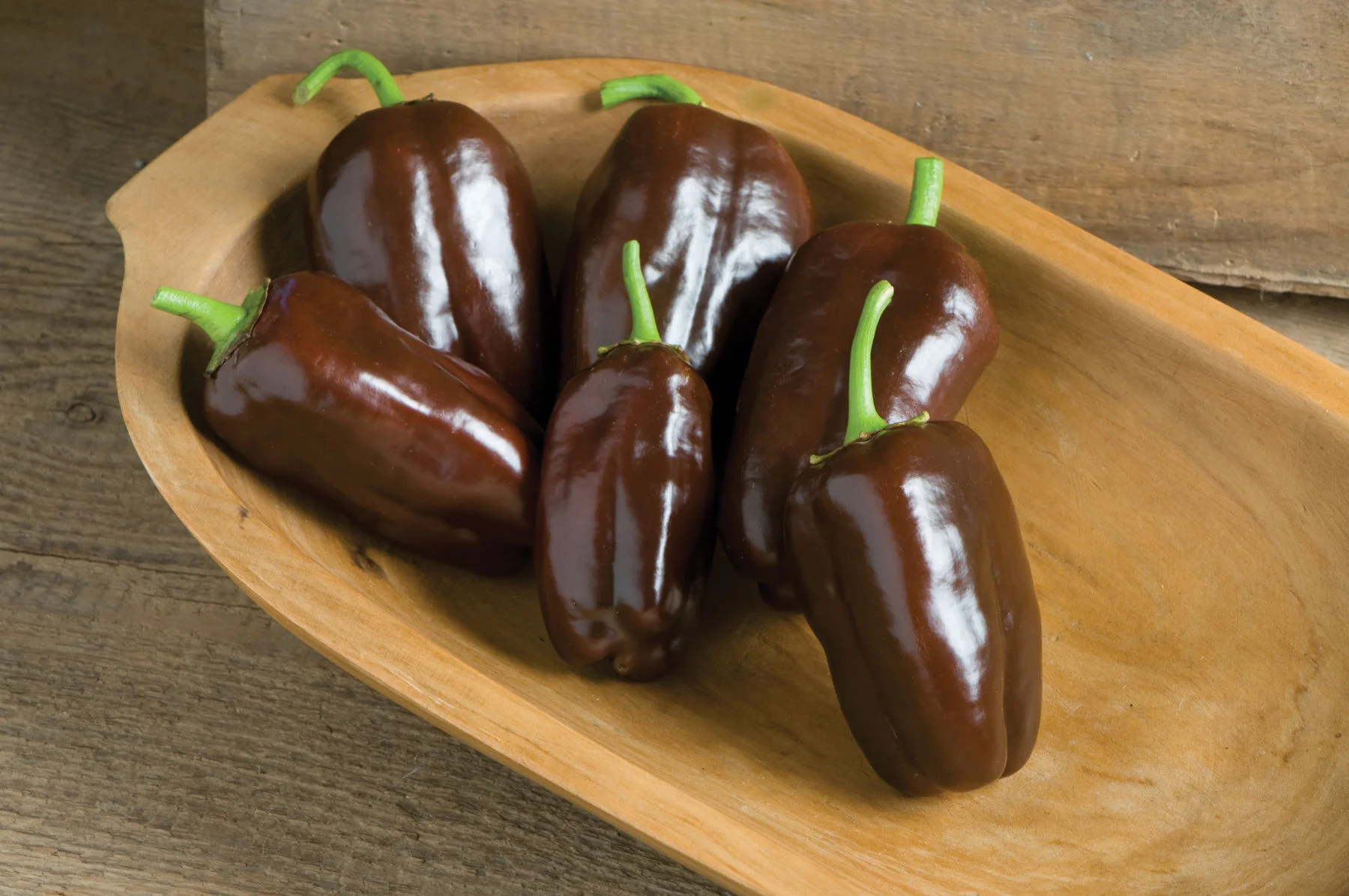 These are Sweet Chocolate Bell Peppers by Johnny’s Selected Seeds. Johnny’s is one of our favorite seed providers. Don’t these look delicious?