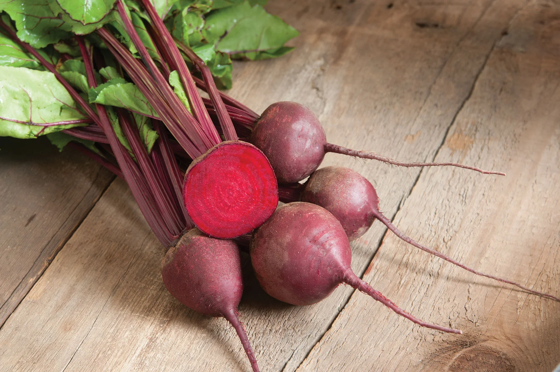 We love root vegetables on this farm, and fresh beets top the list. These are Red Ace by Johnny’s.