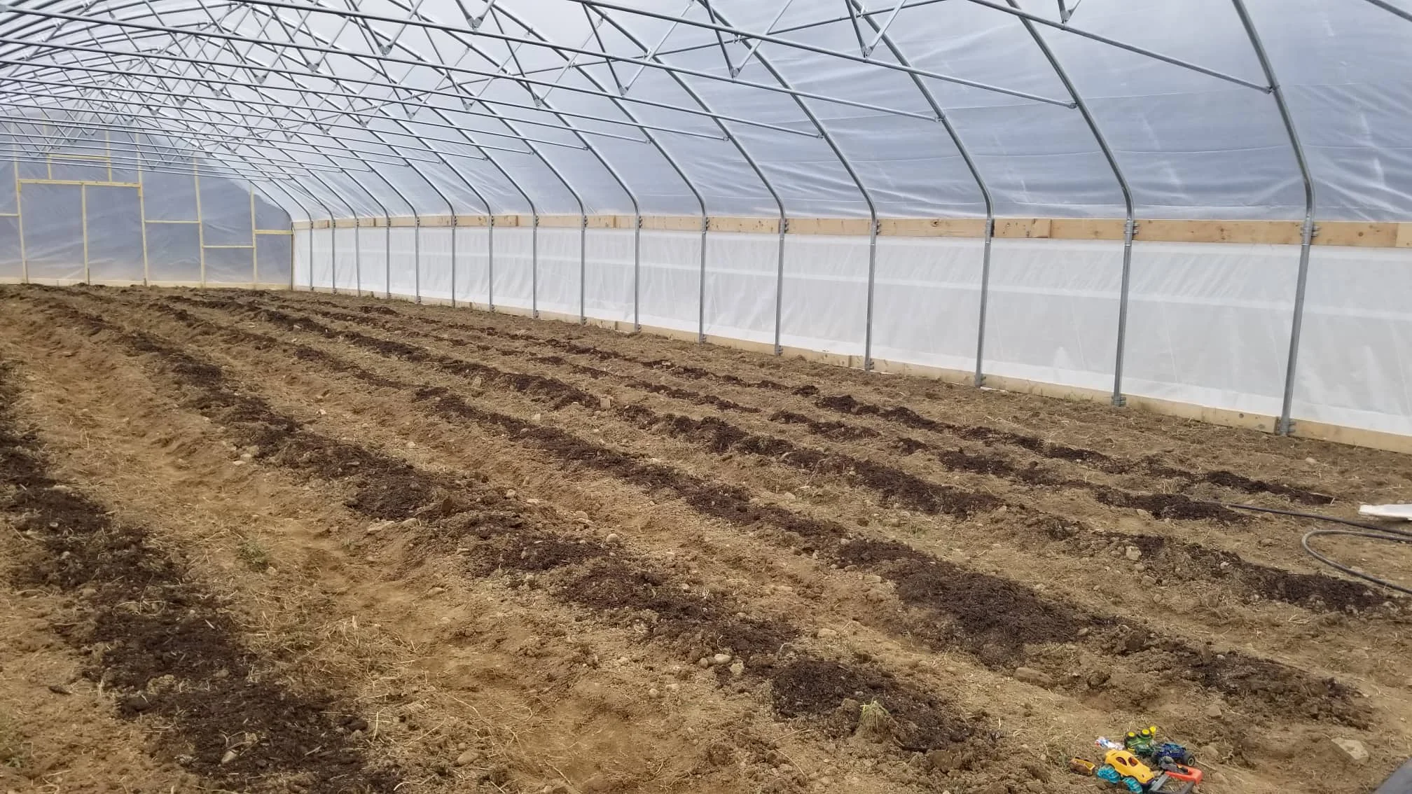 We have eight raised beds in the big high tunnel. We shoveled these by hand because the walking tractor wouldn’t have been able to squeeze that many rows in this space. That’s mushroom compost spread on the rows.