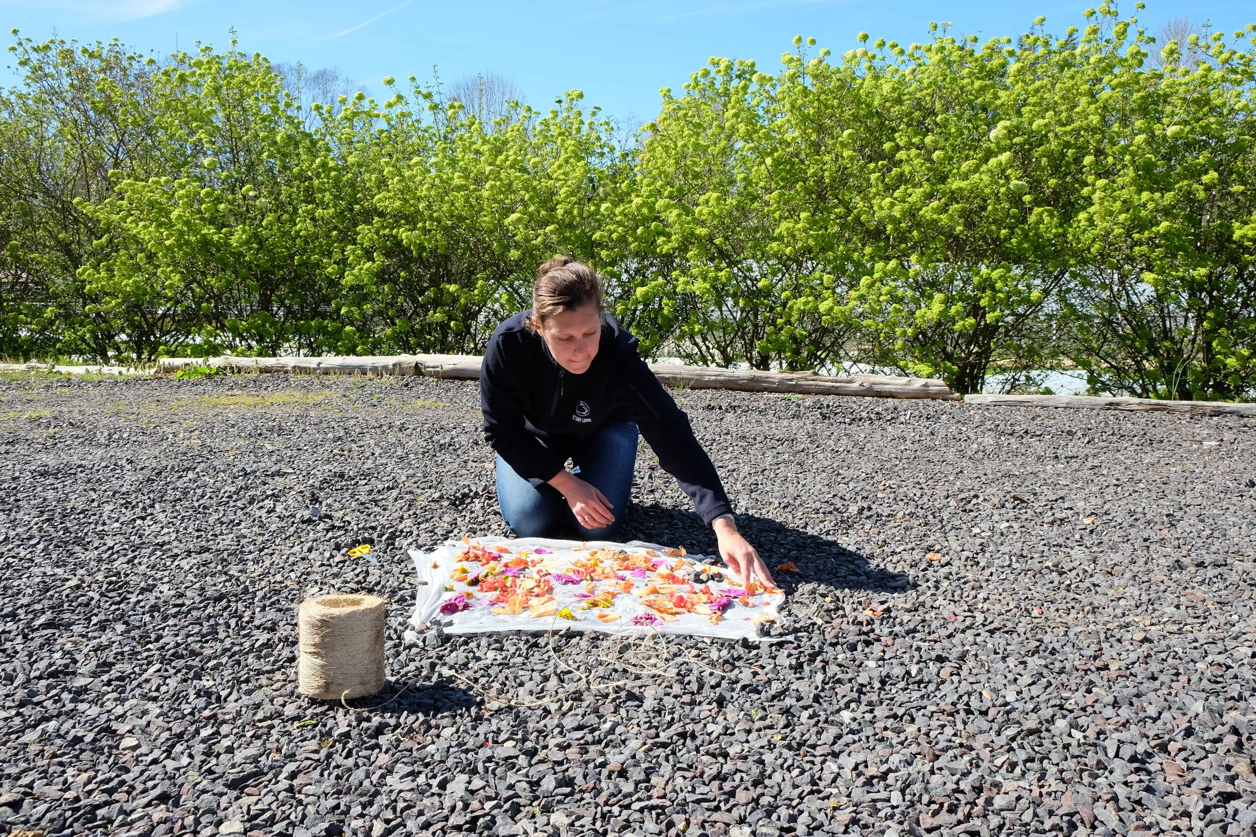 National Arboretum: Natural Dyeing with Kitchen Compost