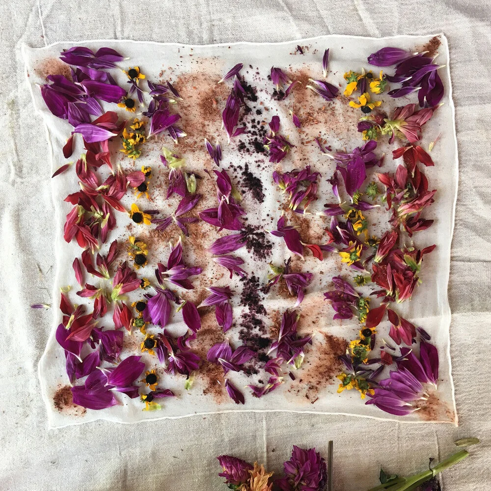 Eco- Printing with Flowers @ Wollam Gardens