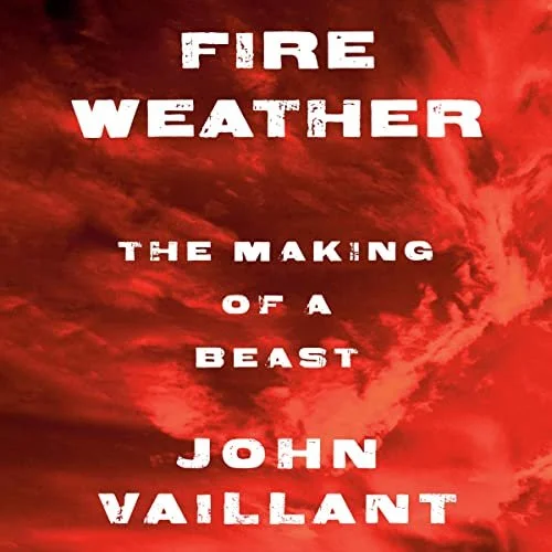 Fire Weather.jpg