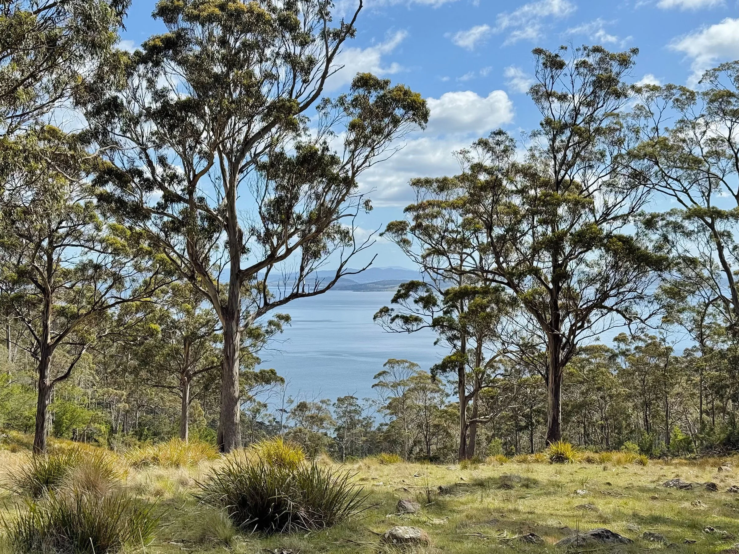 Photo 7-11-2024, 10 09 49_2400.jpg