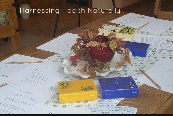 Harnessing Health Workshop