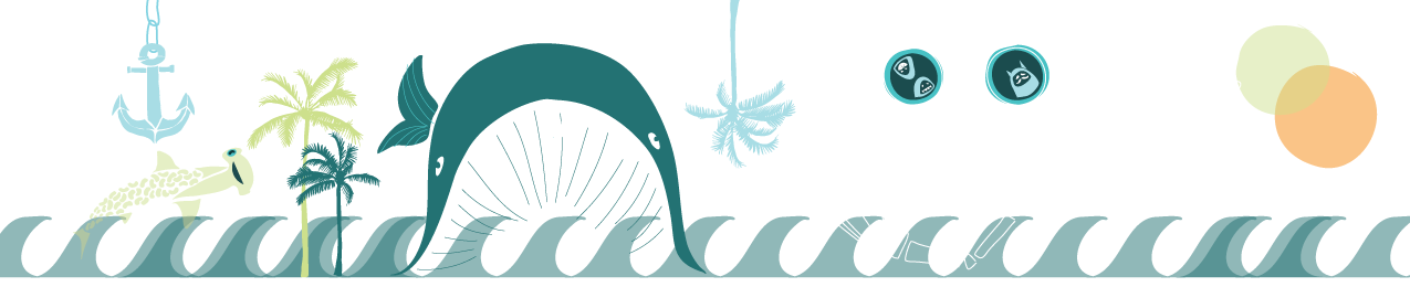 bannerClasses05.png