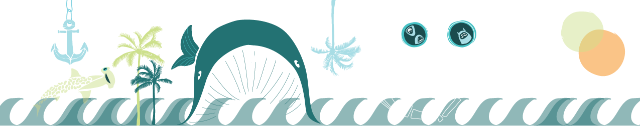 bannerClasses05.png