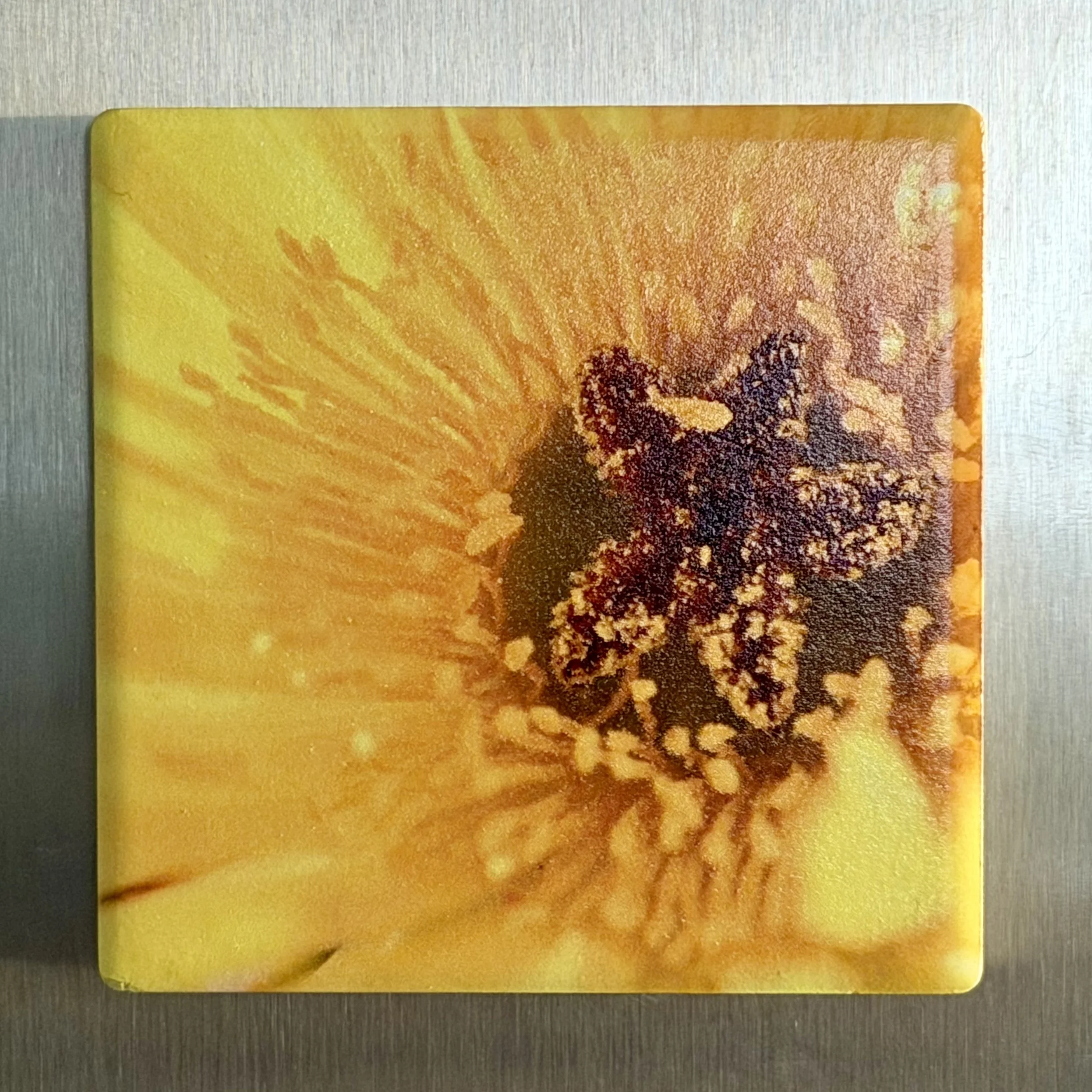 IMG_2927.jpeg (Copy)