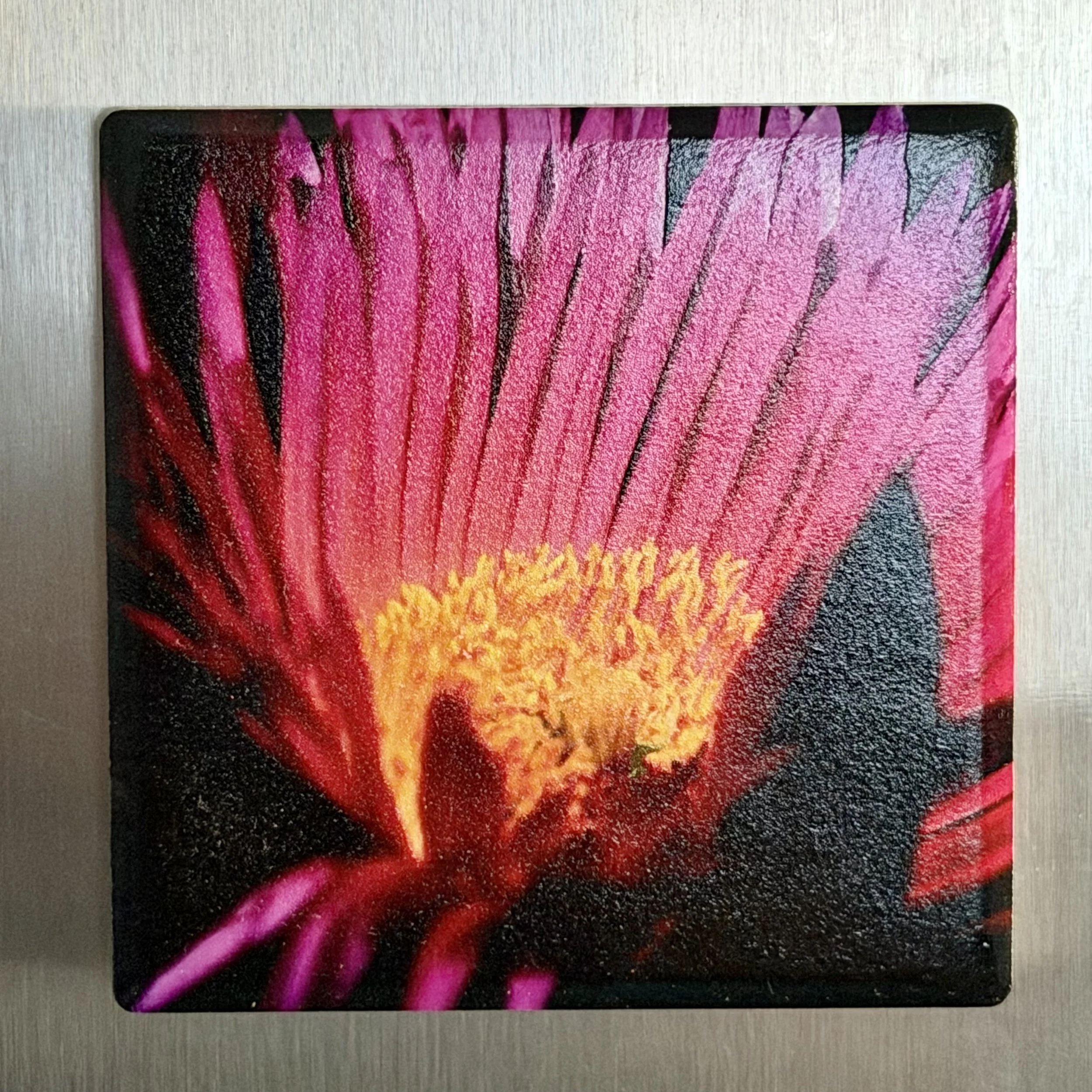 IMG_2928.jpeg (Copy)