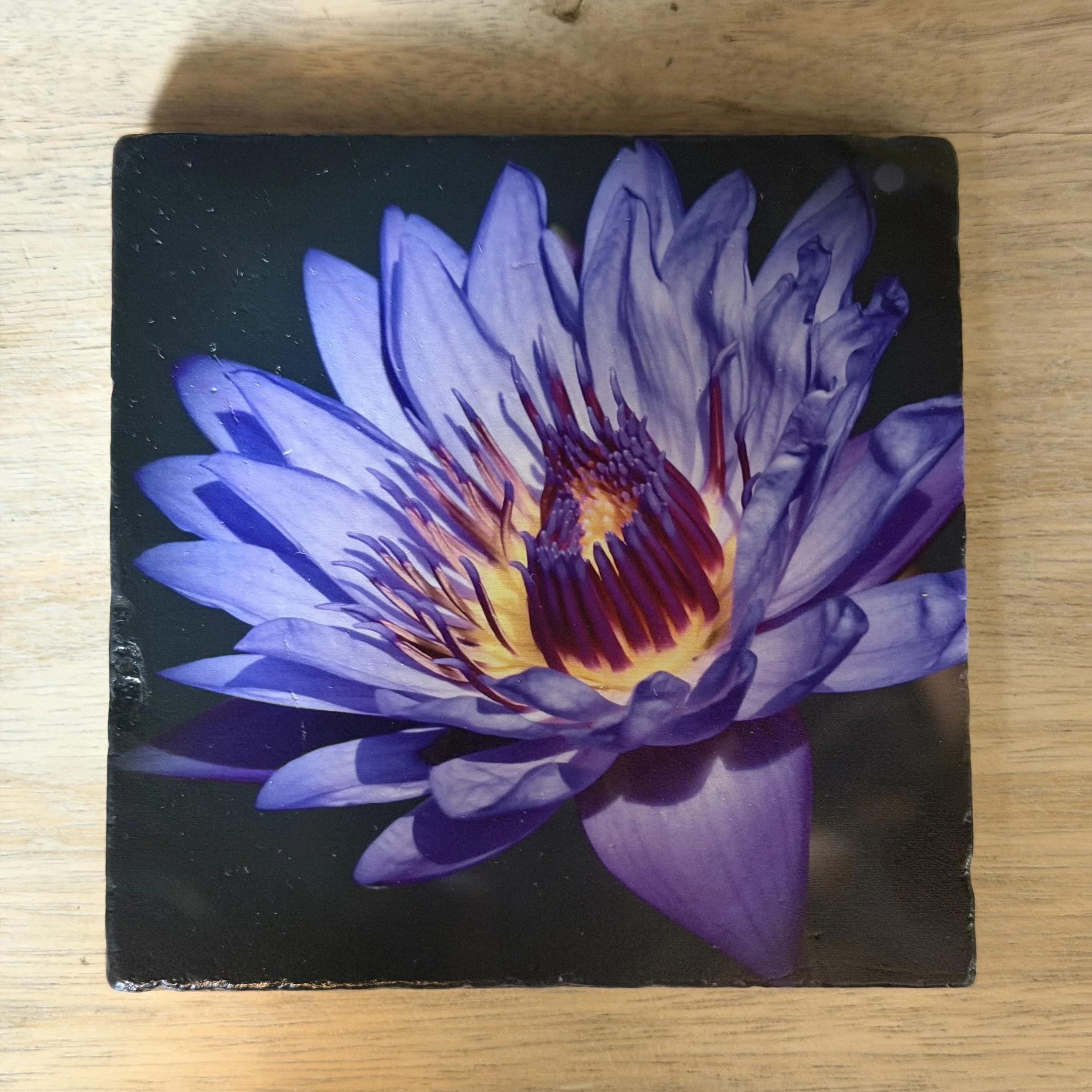 Floral Elegance Drink Coaster