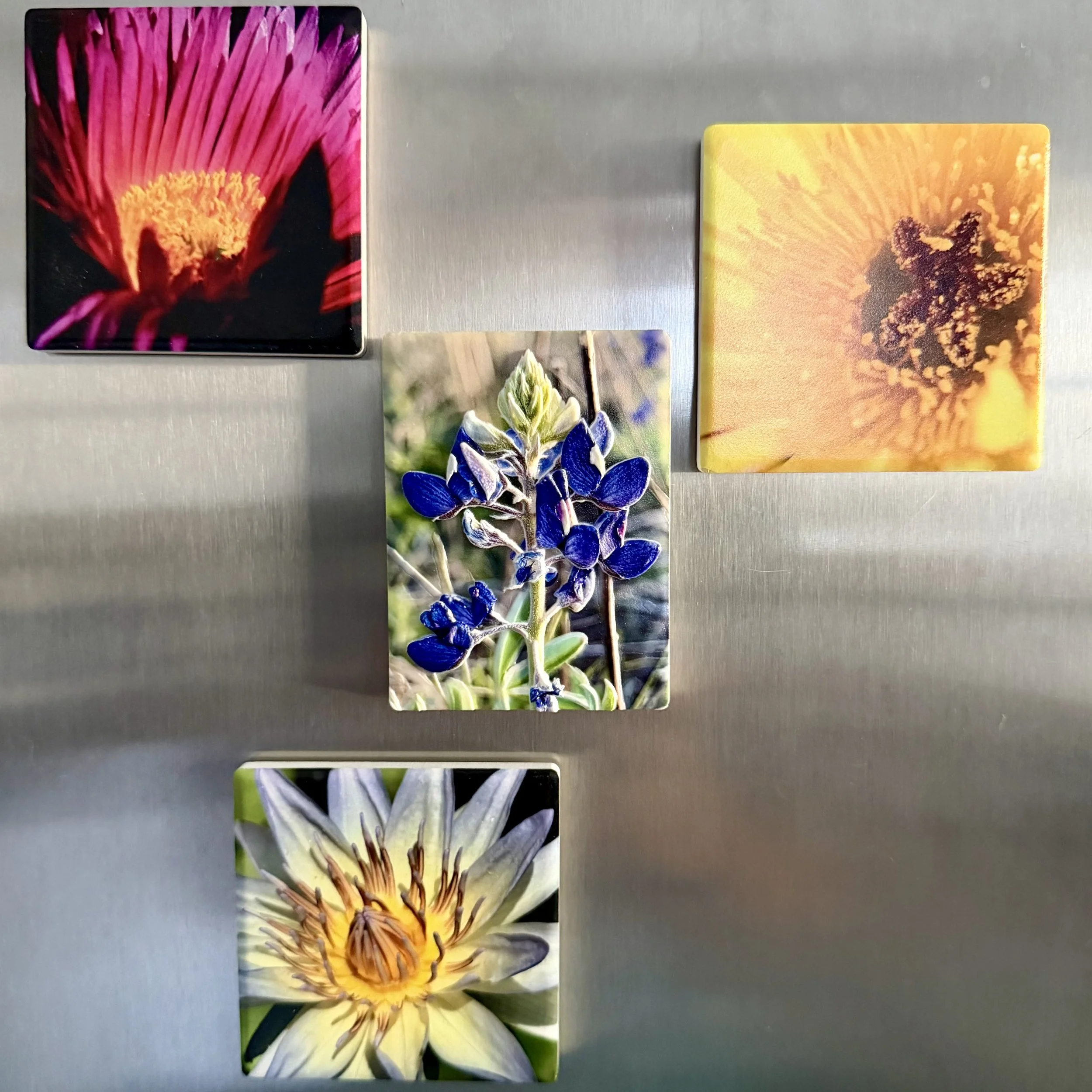 IMG_2933.jpeg (Copy)