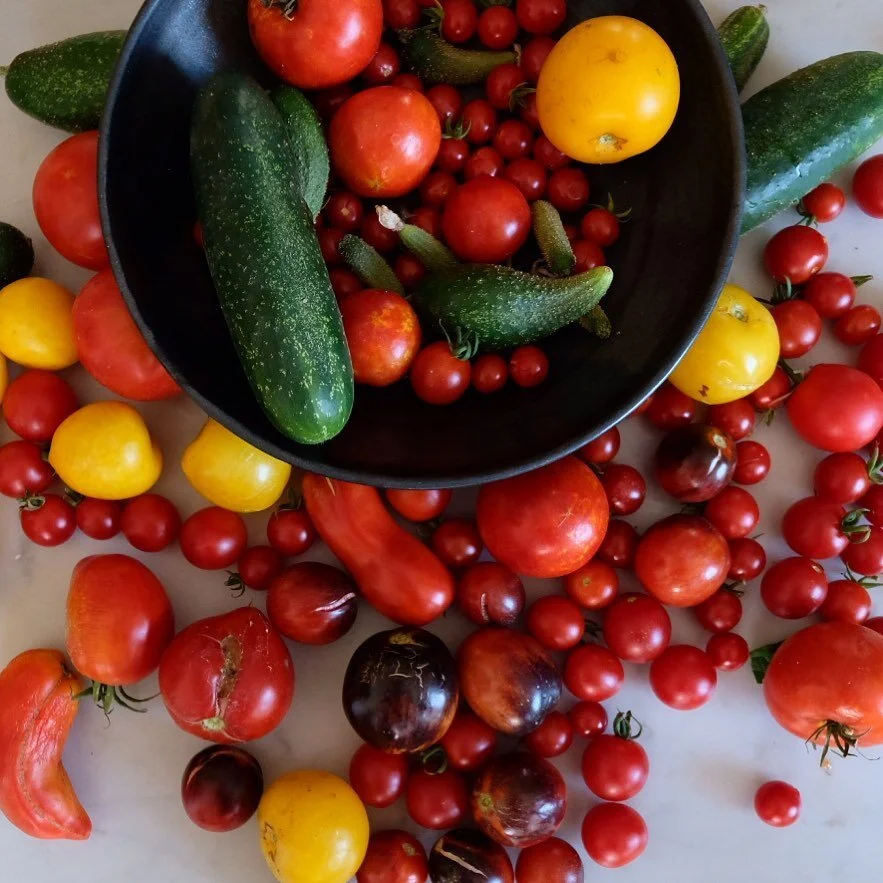 The upside of end of holidays 🌞 &amp; my brother in-law&rsquo;s green thumb 🌱
I&rsquo;m back in the workshop working on orders &amp; answering emails for @pottery_club_montrouge - I&rsquo;m so stoked to have your interest in the classes!
Kia ora!!!