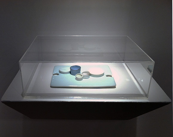 <i>of a moon garden, january III, gallery view</i>, 2013