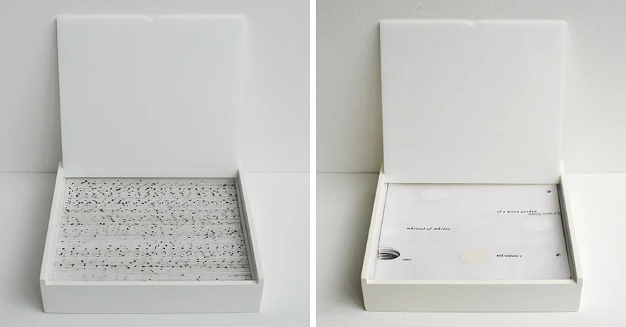 L: <i>Book II</i>, paper, hair, wood, plexiglas, h. 2" x w. 9" x d. 8", 2008. R: <i>Book III</i>, paper, wood, plexiglas, h. 2" x w. 9" x d. 8", 2008
