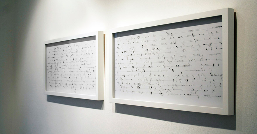 <i>of syllables</i>, hair, foam core board, mono filament, h. 12 1/8" x w. 47"x d. 1" (framed diptych), 2008