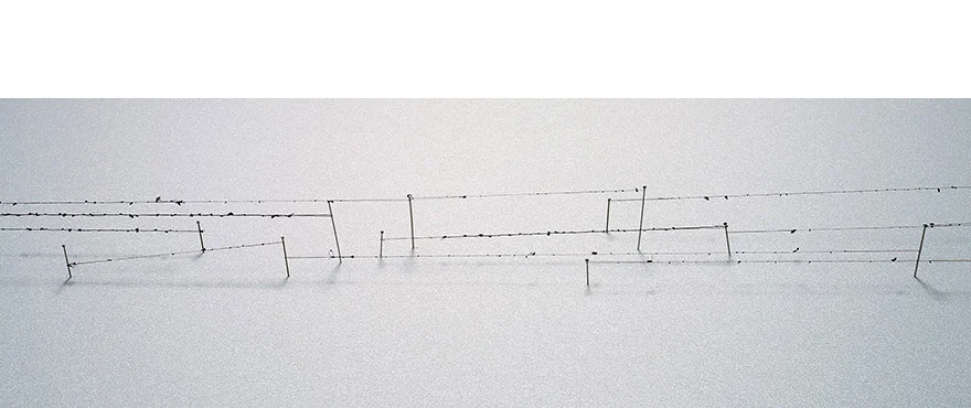 <i>linear journey</i>, foam board, hair, sewing pin, h. 1 1/2" x w. 16" x d. 5", 2006