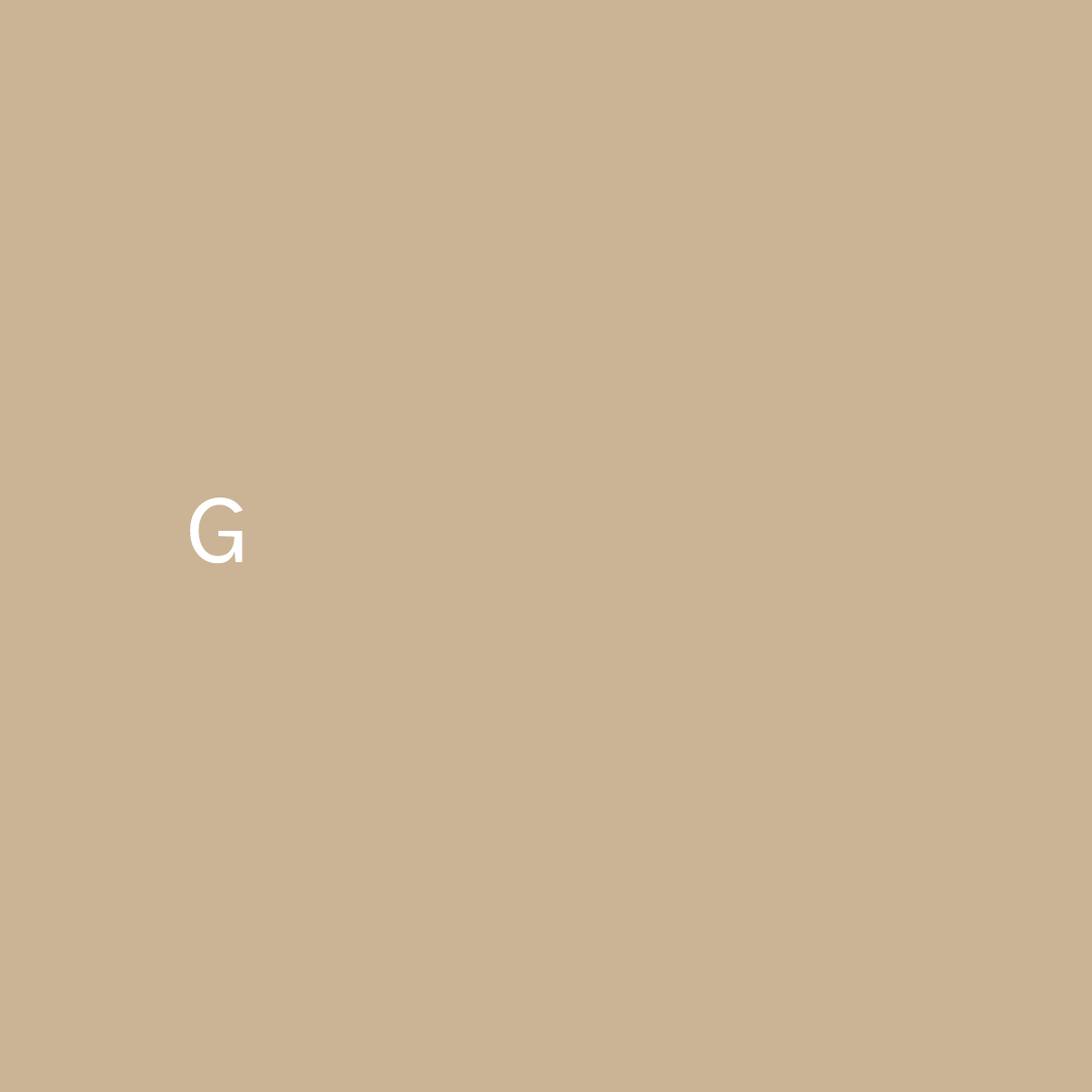 New-Generation-Z-Gif.gif