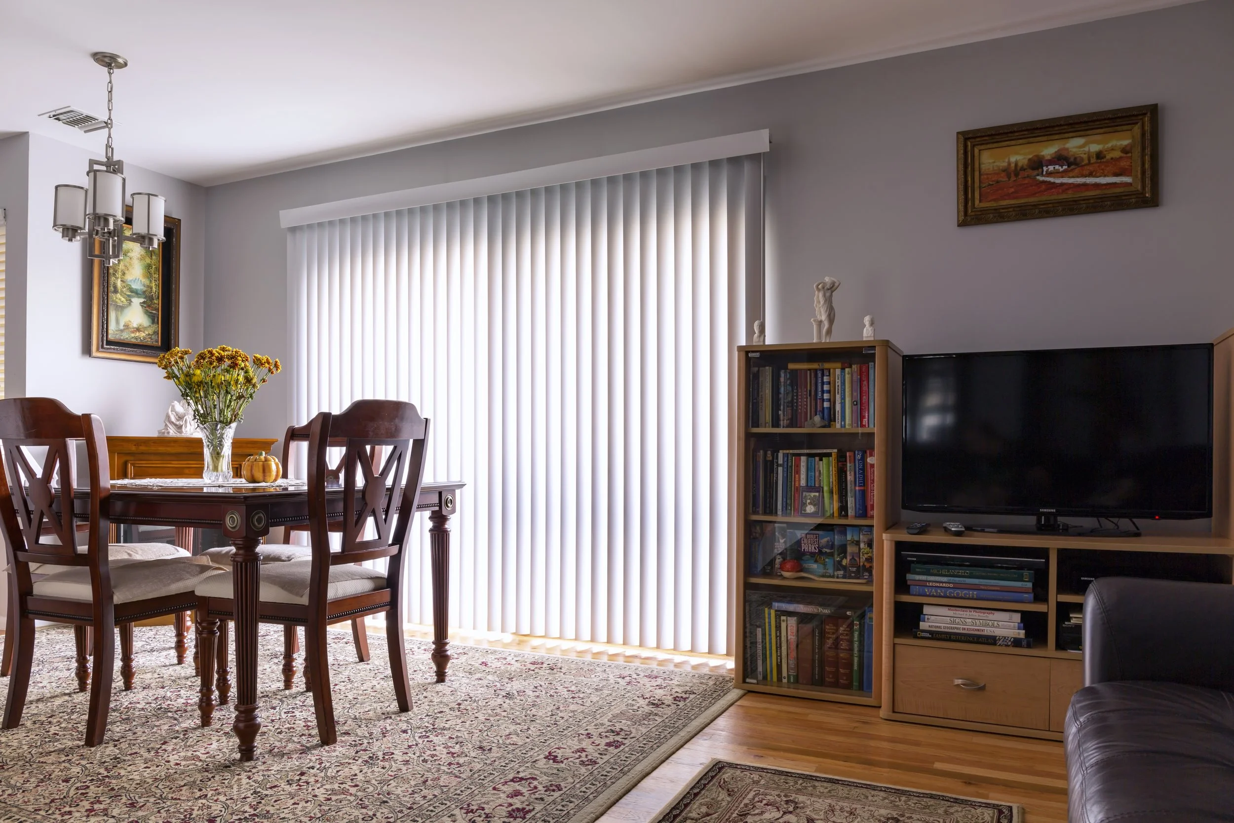 vertical blinds.jpeg