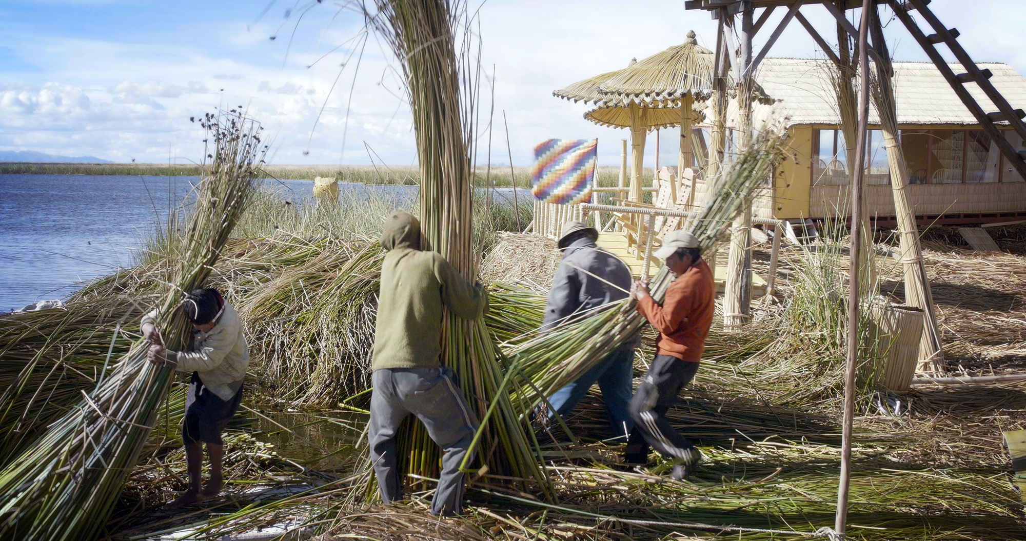 New reeds need to be added every two weeks lest the island rot away.