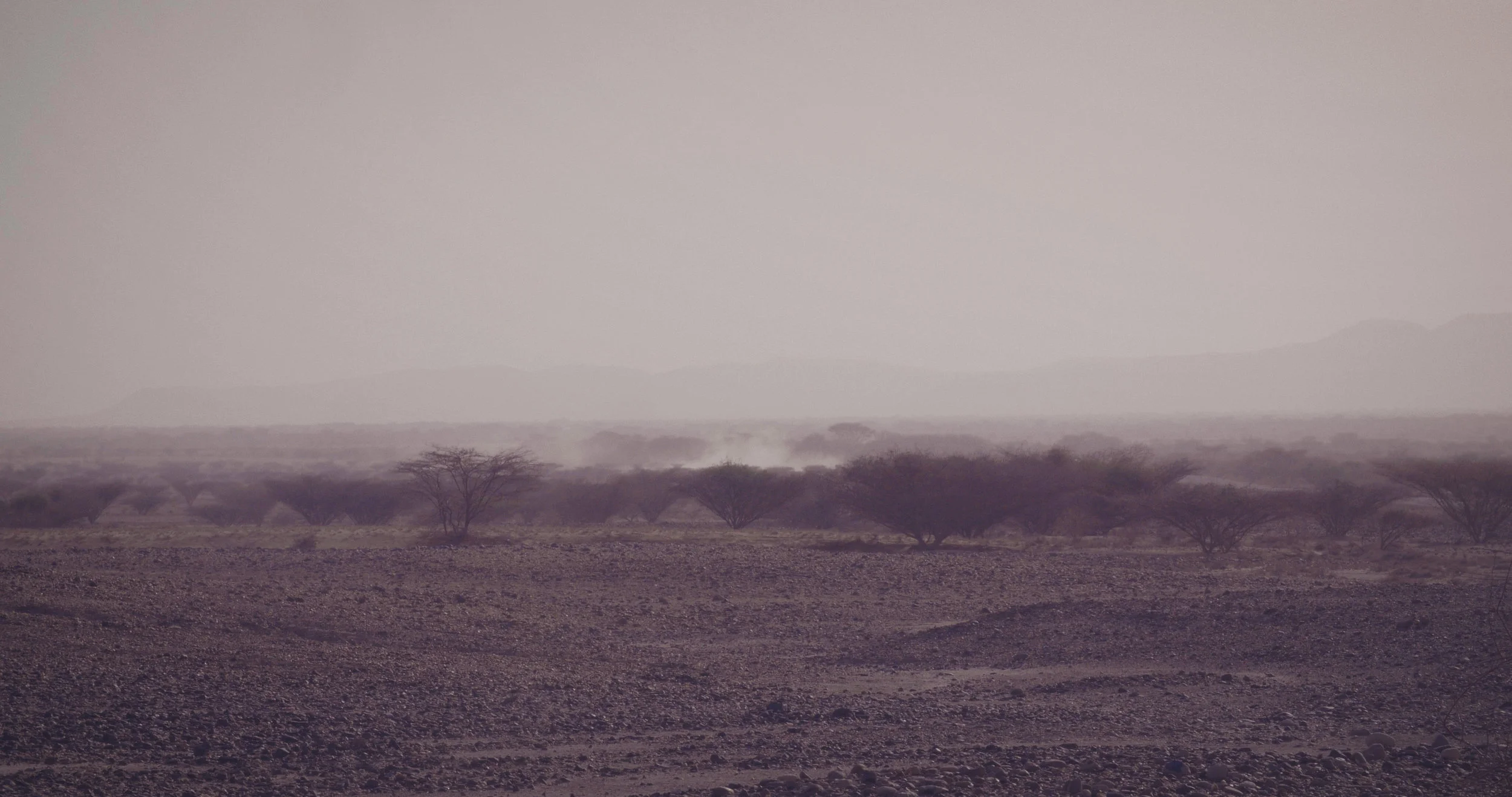 Lomekwi-23.MOV.Still001.jpg