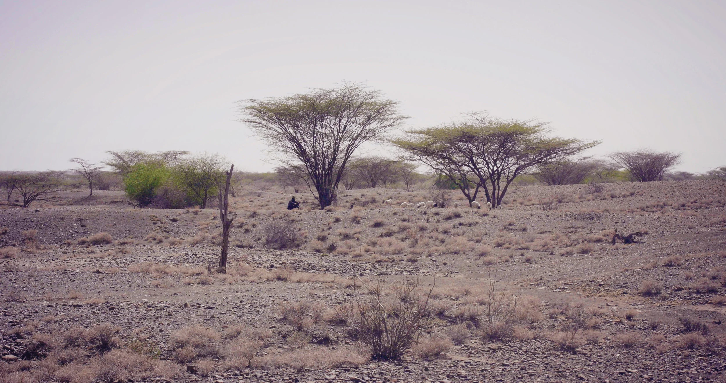 Lomekwi-22.MOV.Still001.jpg