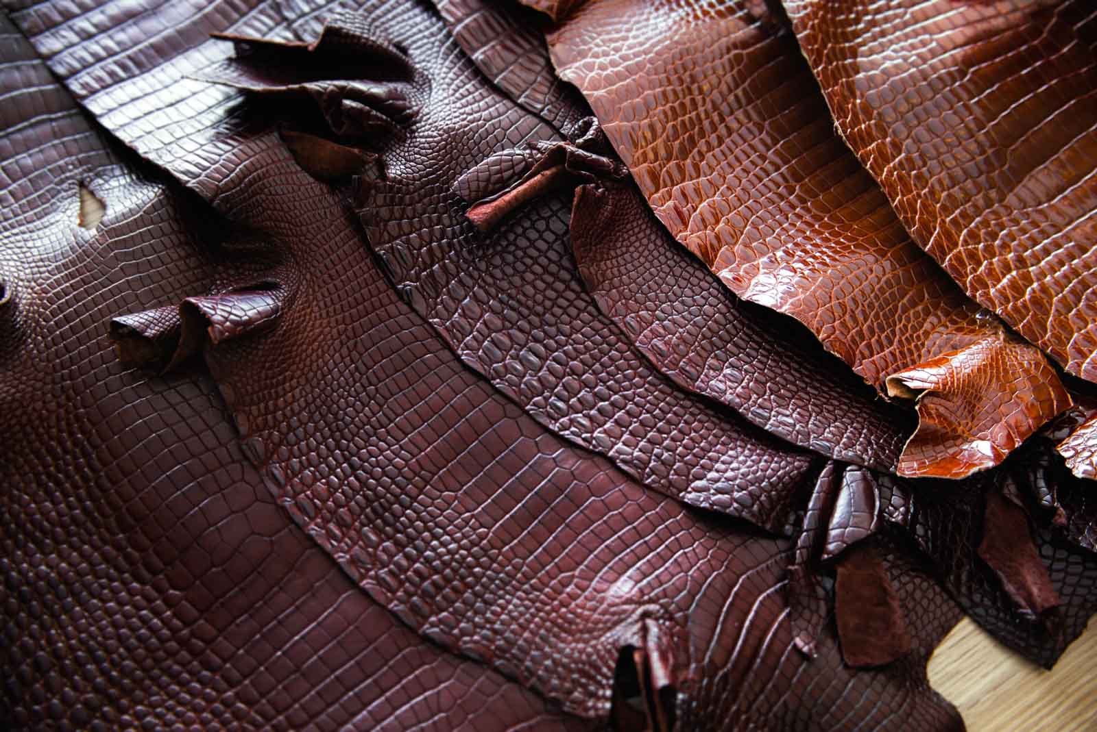 porosus crocodile leather