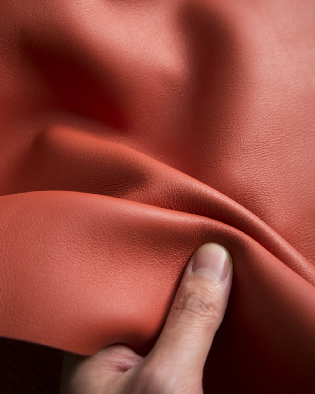 Swift-leather.jpg