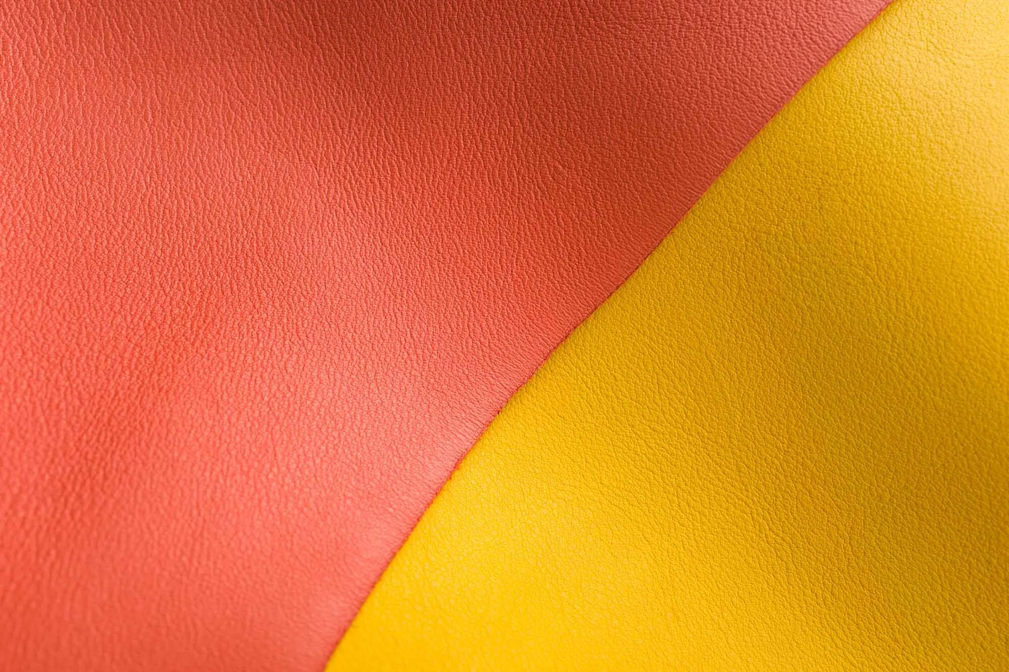 Leather Swatch