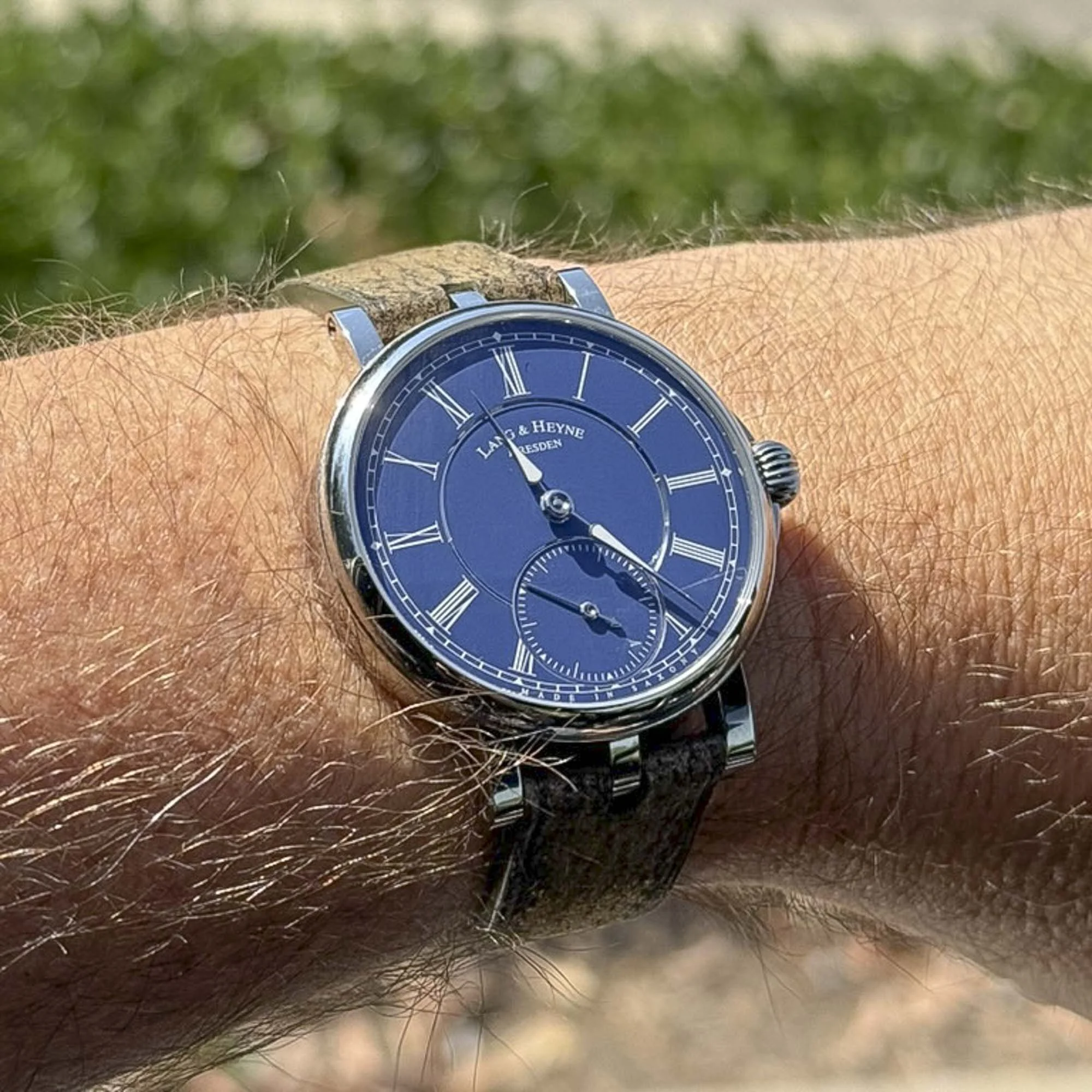 Lange_Heyne_Friedrich_straps (2).JPG