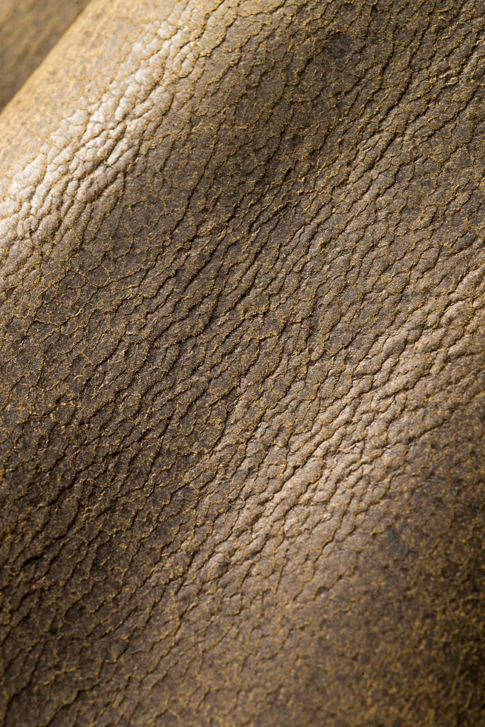 Elk Leather