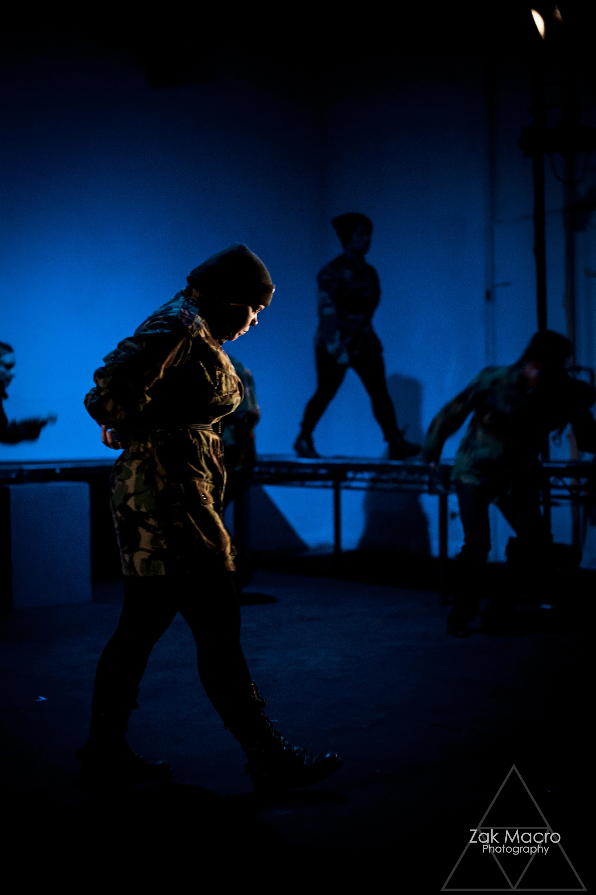 ZakMacro.Bridge.CSSD.Hamlet.5©.jpg