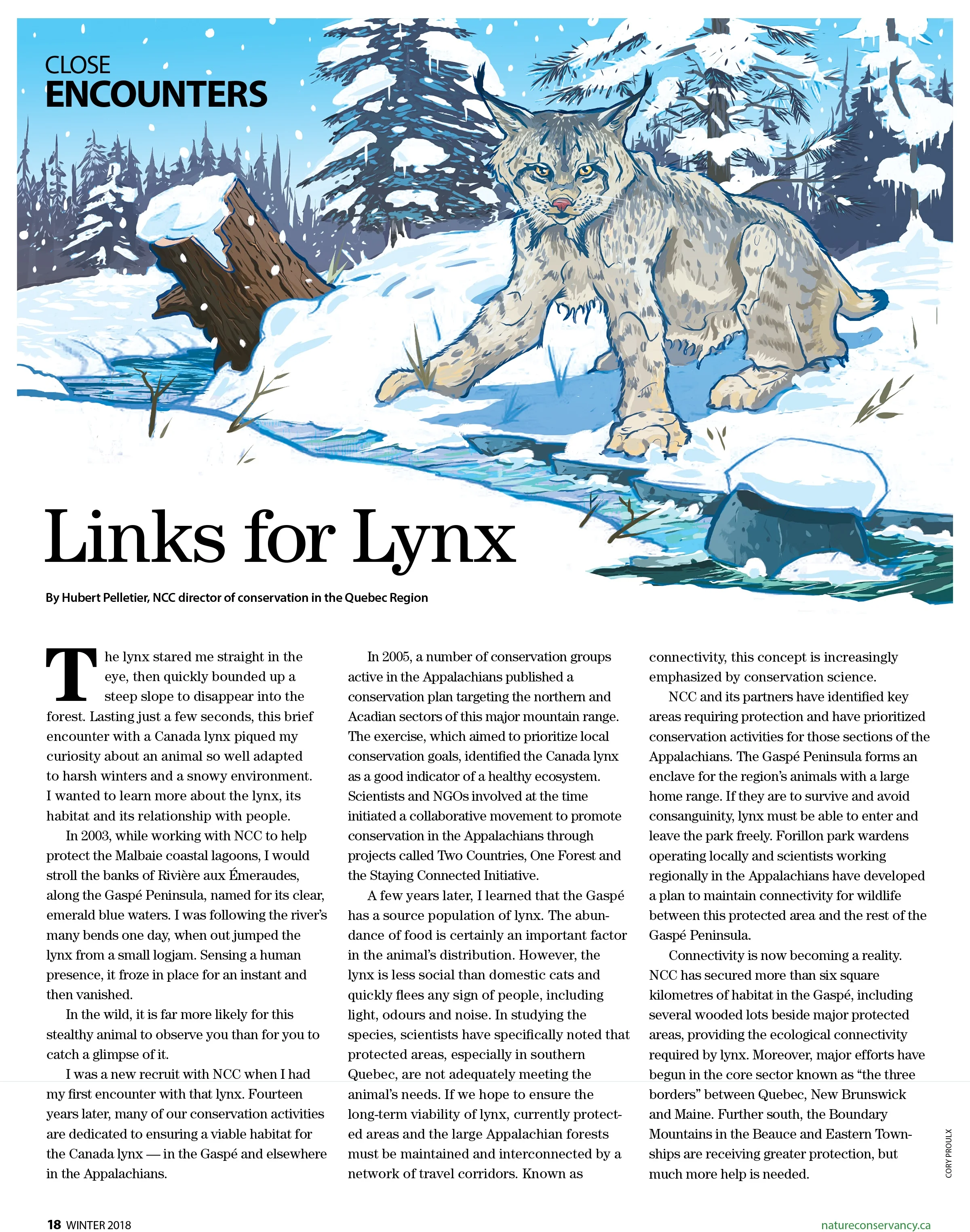 Lynxwebsite.jpg