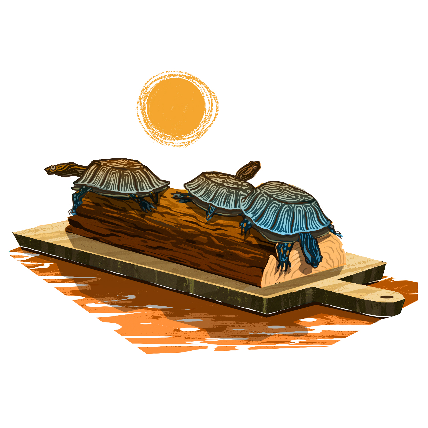 SunBaking_CoryProulx.jpg