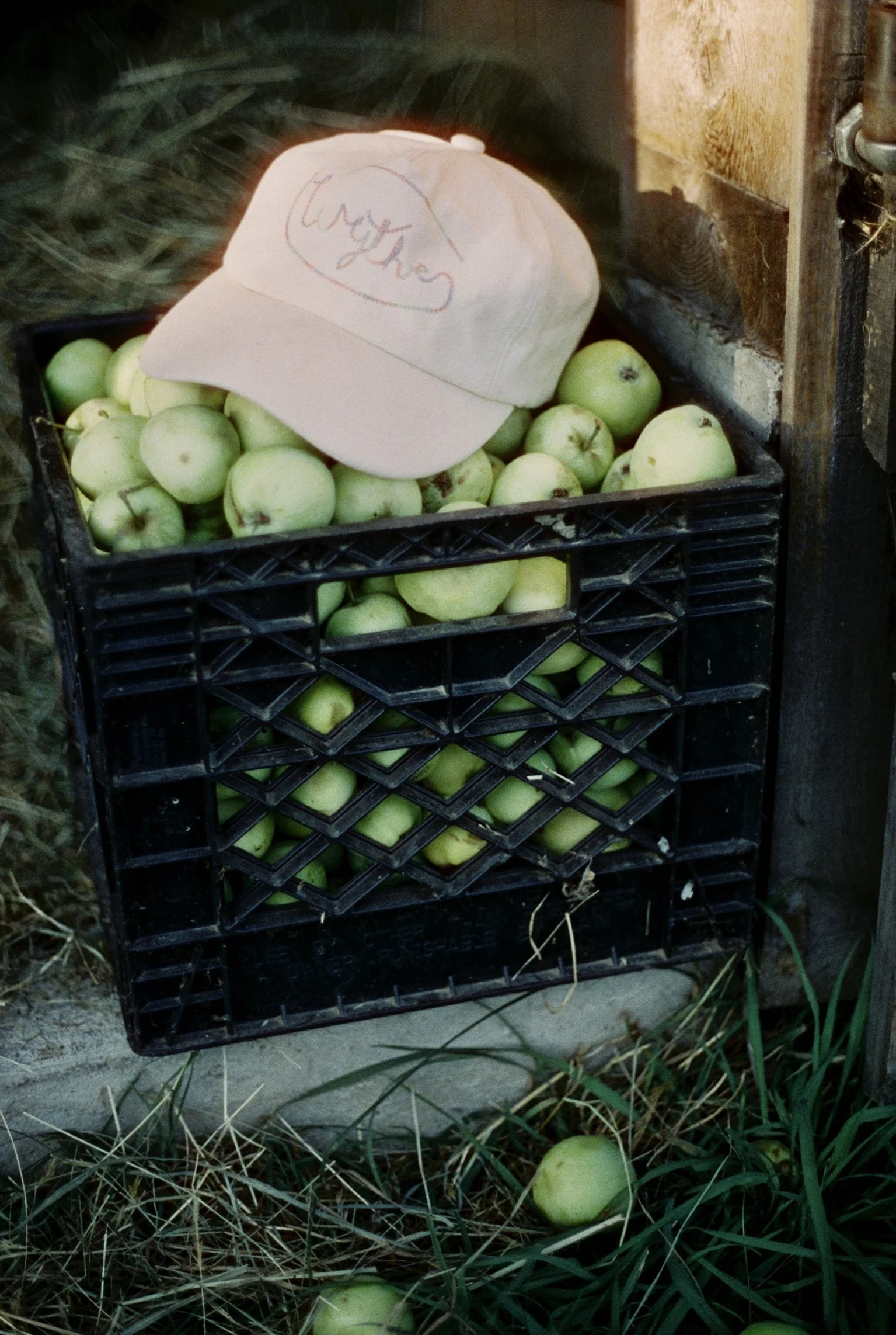 Wythe NYC SS26, Vermont