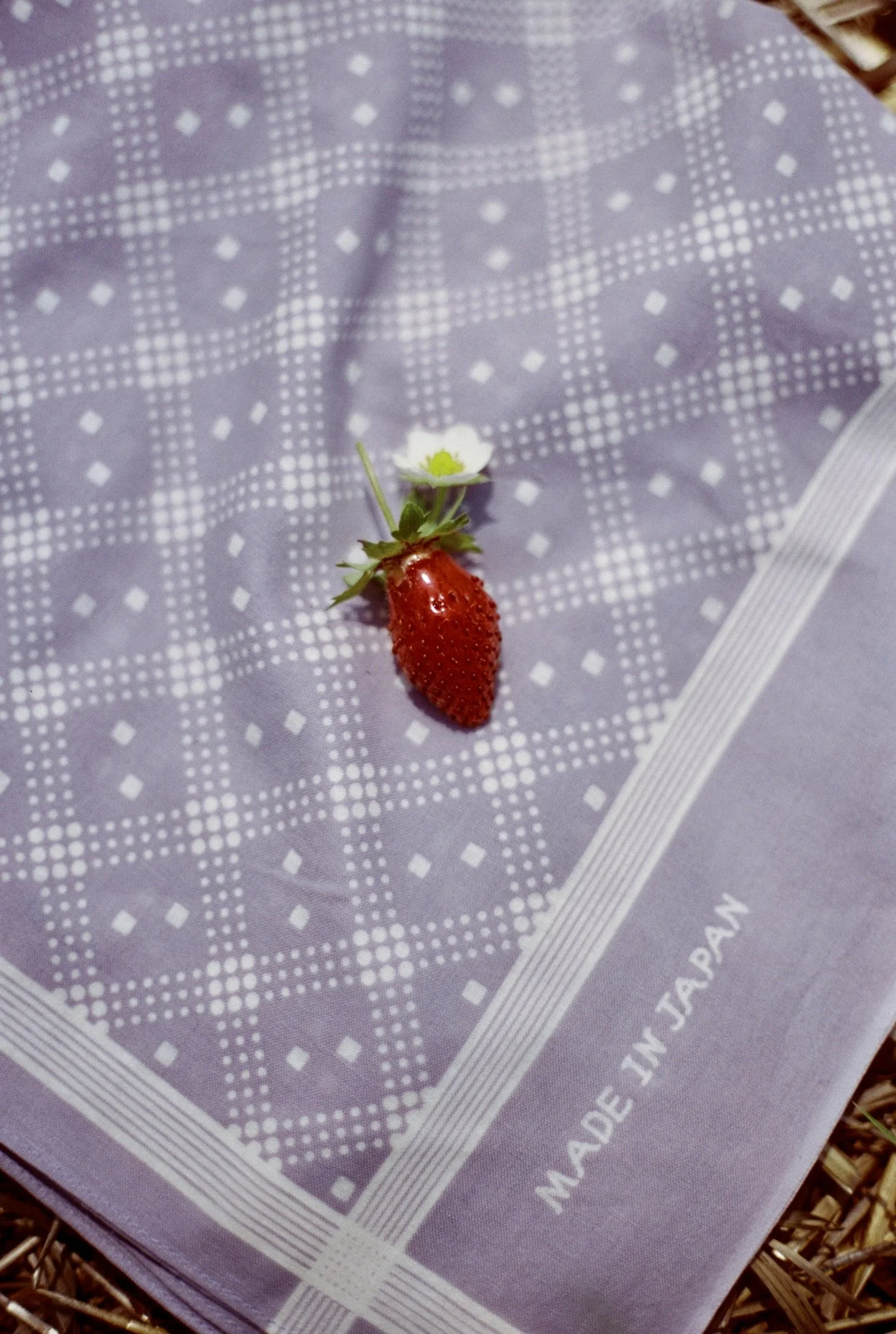 Wythe NYC SS26, Vermont