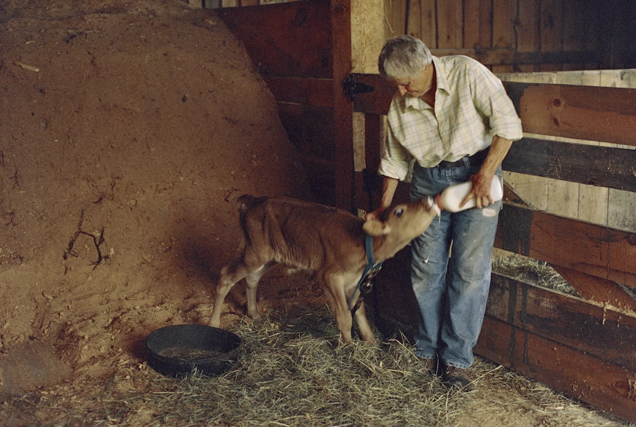 Wythe NYC SS26, Vermont