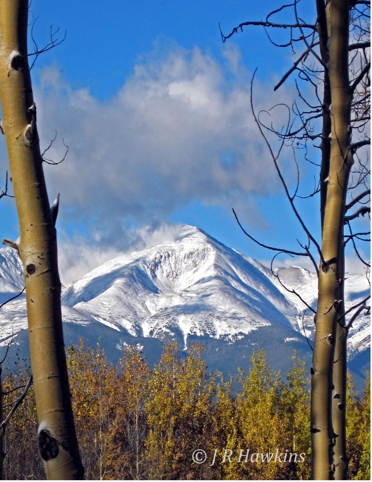 Elbert3 Watermark.jpg