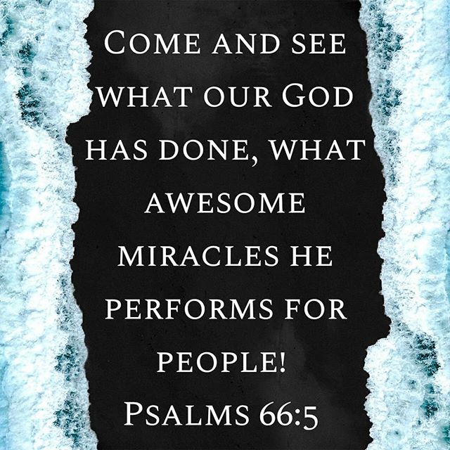 Verse printed on the outside of the truck. Come and see the miracles! #miracles #Jesusisalive #Jesus #warrior #love #warriorsoflove