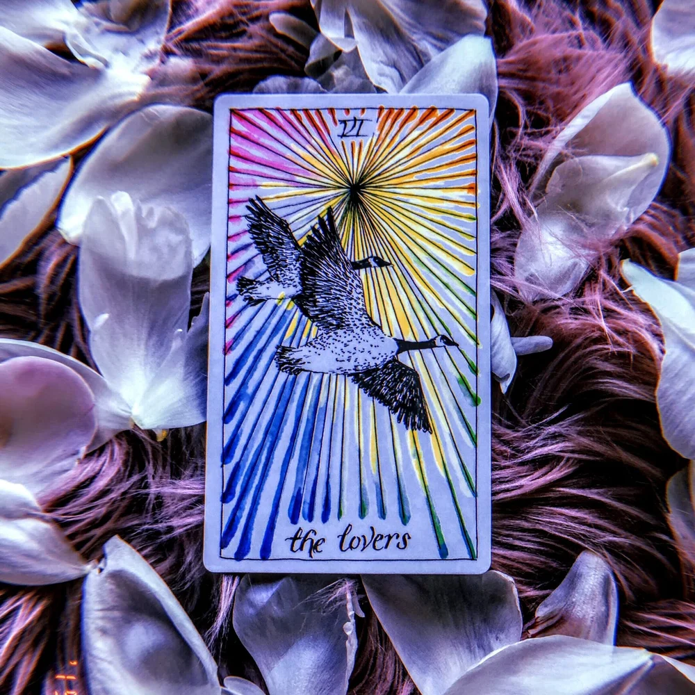 How To Read Tarot Cards For Your Relationship — Mystic Rose