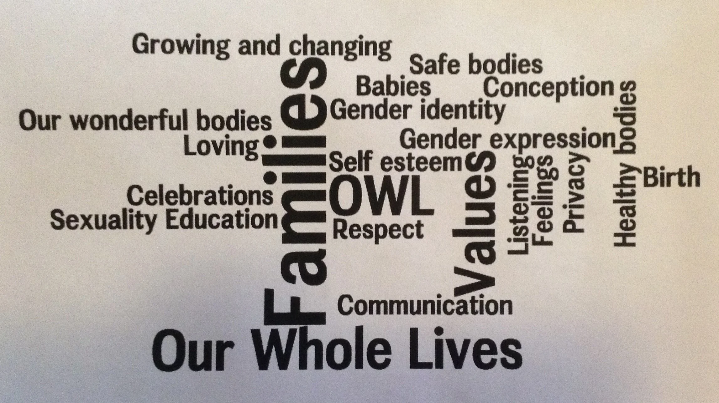OWL Image.jpg