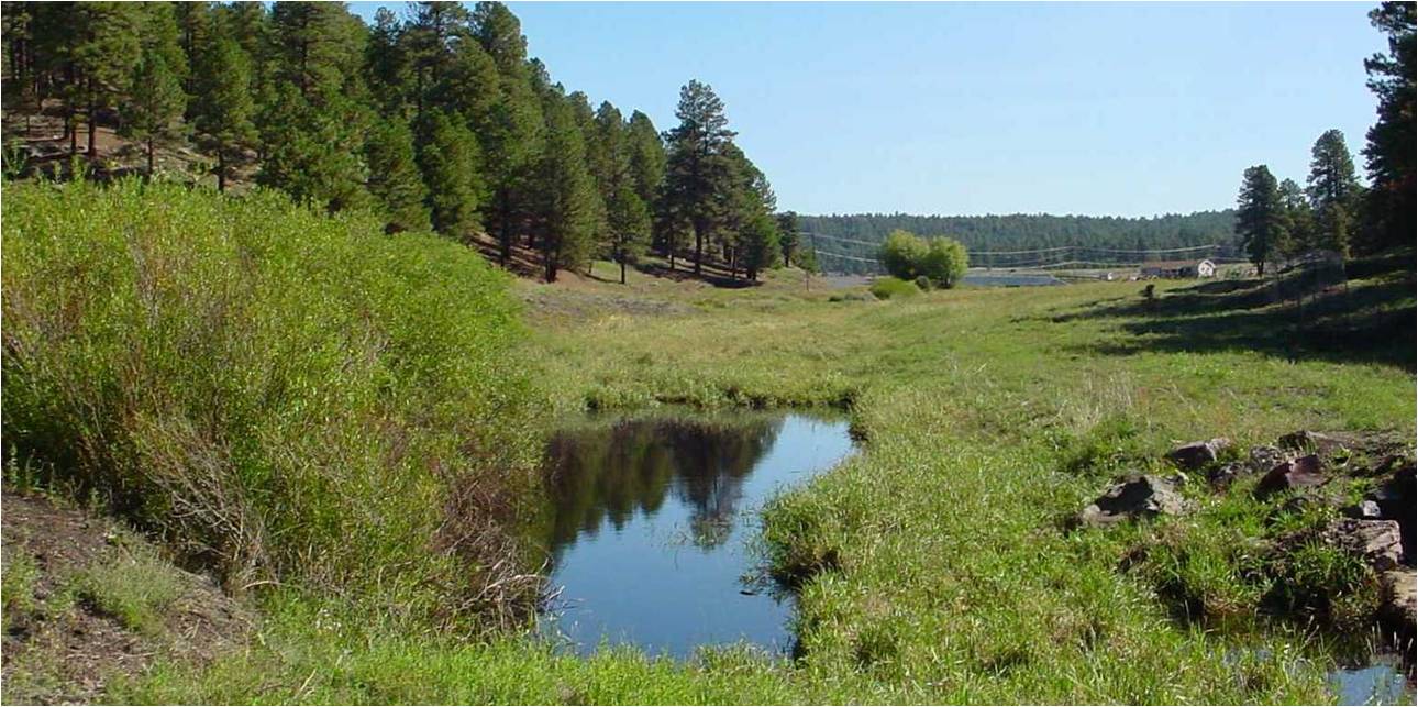 Pumphouse Natural Area & Kachina Wetlands*