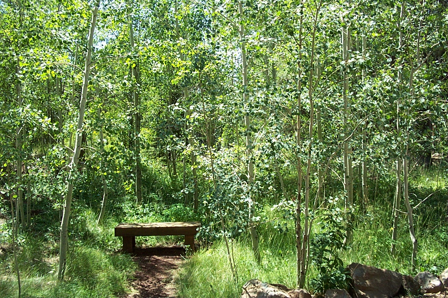 The Arboretum at Flagstaff*