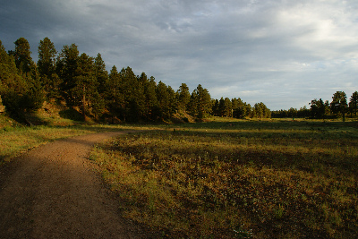 Trail_City_2010.jpg