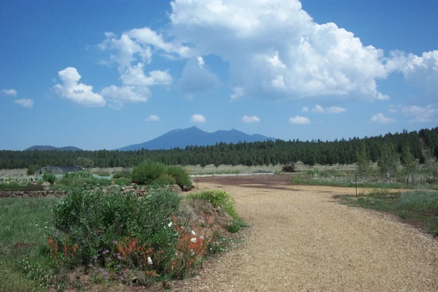 arb view.JPG