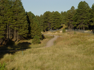  The Flagstaff Urban Trail System (FUTS) winds through Northern Arizona University's campus. Tree squirrels, woodpeckers, and Stellar's Jays are common visitors. &nbsp;   Photo by City of Flagstaff  