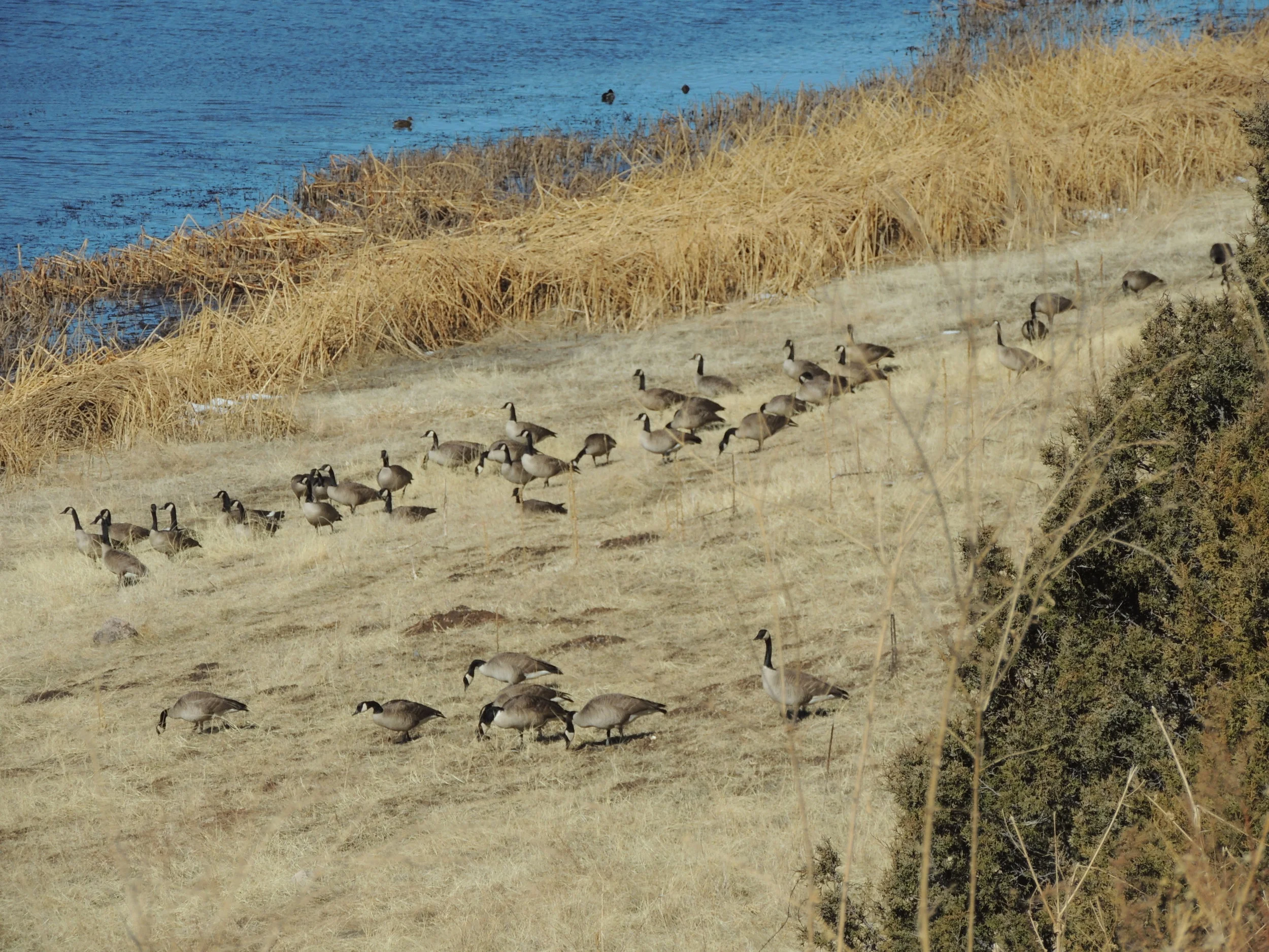 DSCN2279.JPG