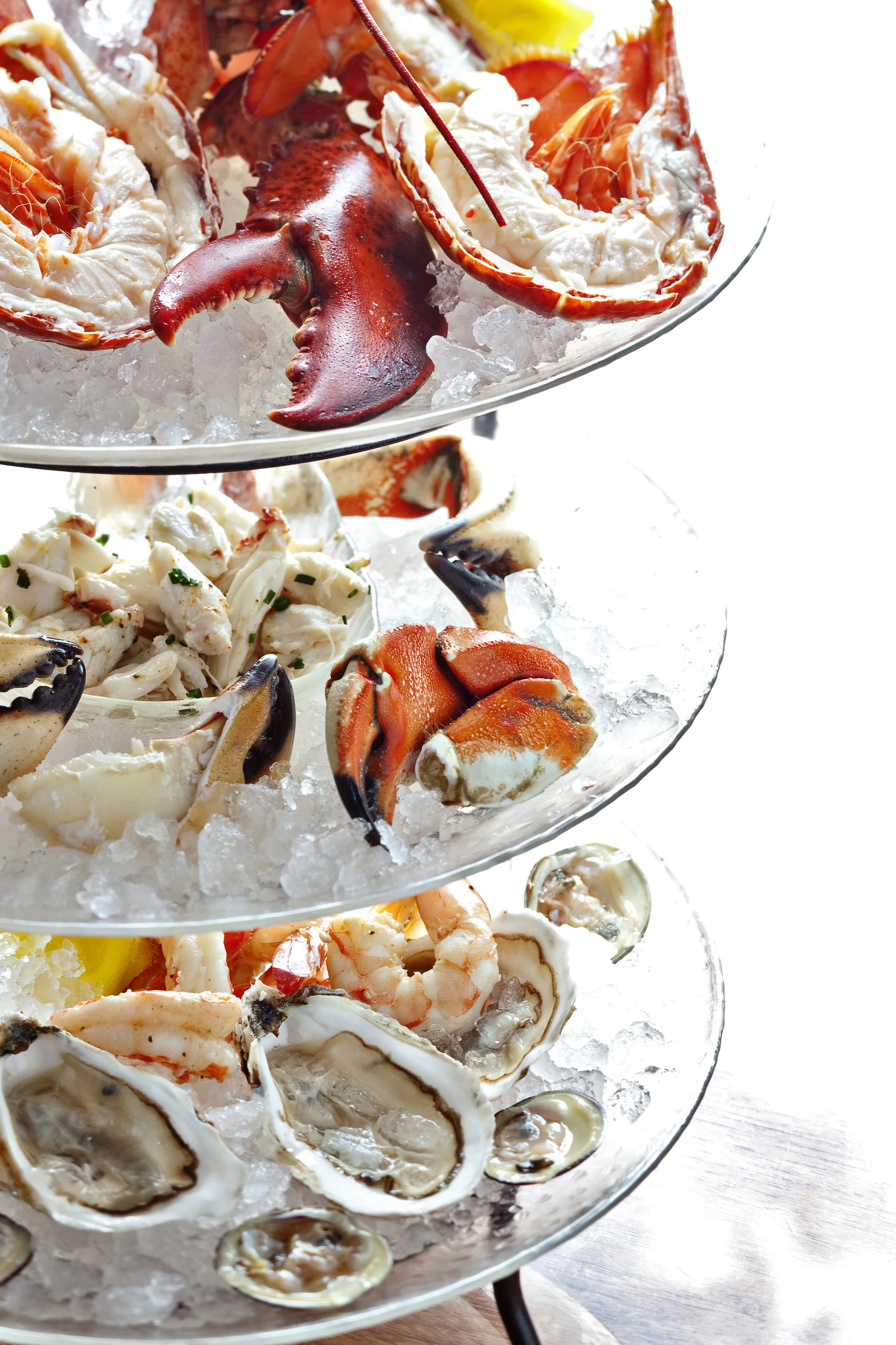 PassionFish Reston: An Overview