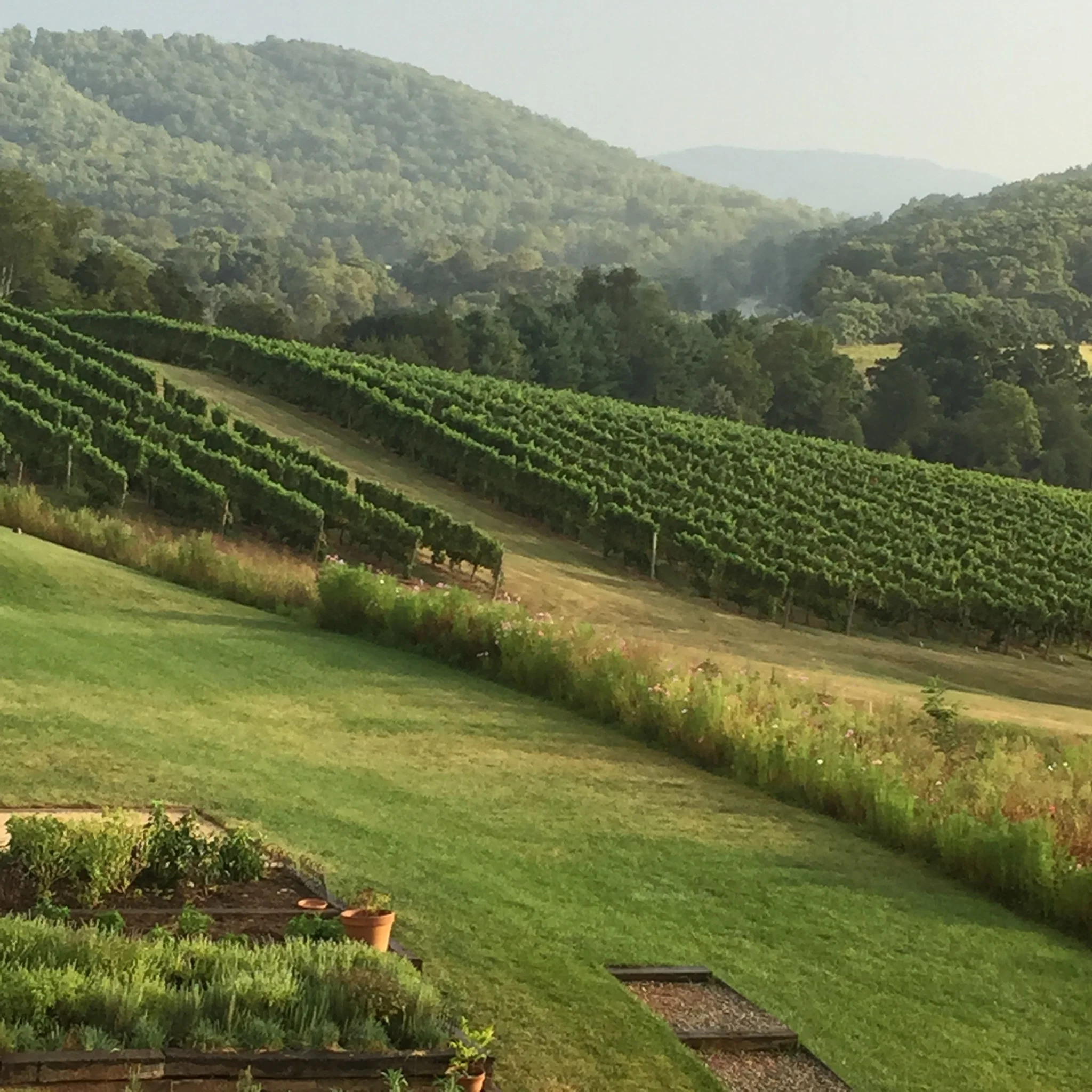 Agritourism